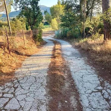 Guiteco * Ιέρ